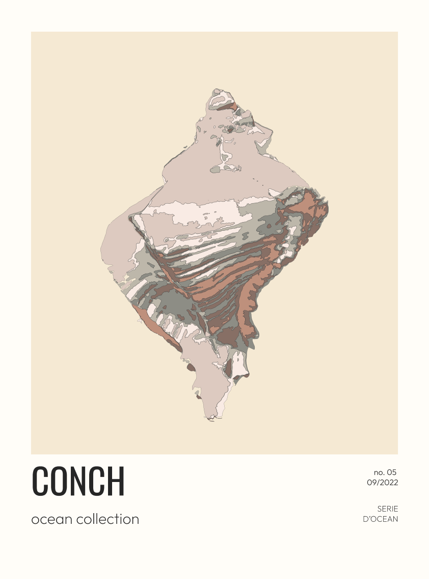 Conch-05-beige-30x40