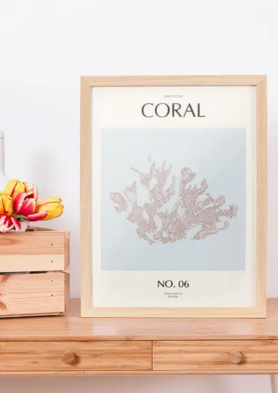 coral-06