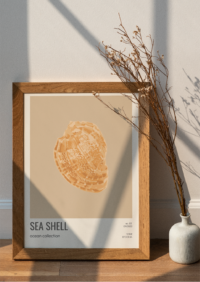 sea-shells-03
