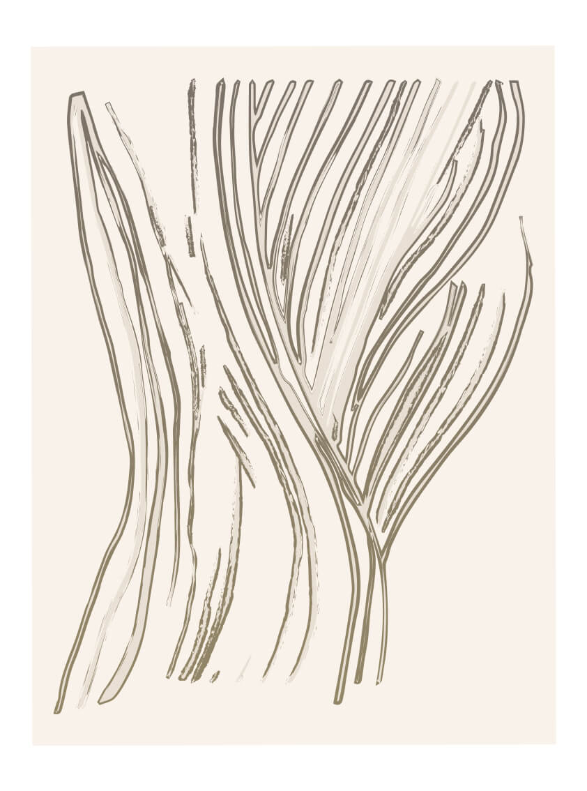 lines-04-brun-30x40