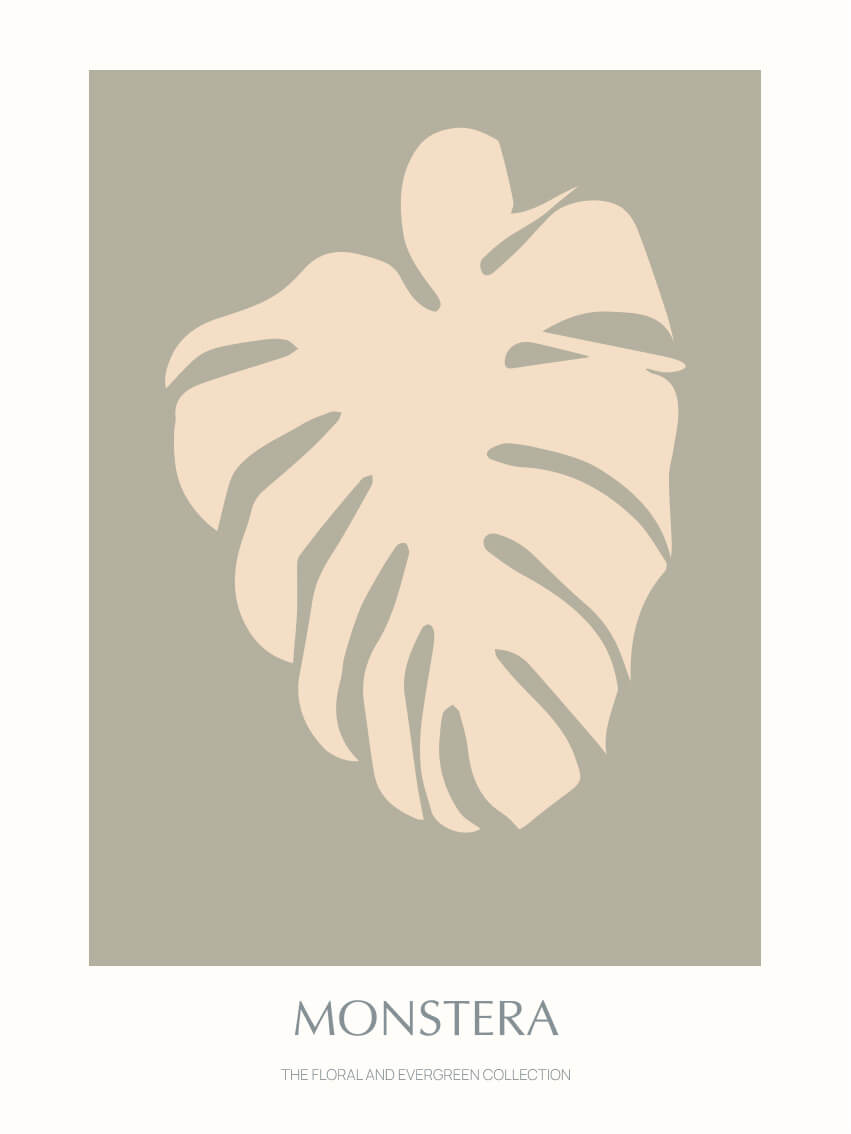 Floral-evergreen-monstera-02-graa-30x40