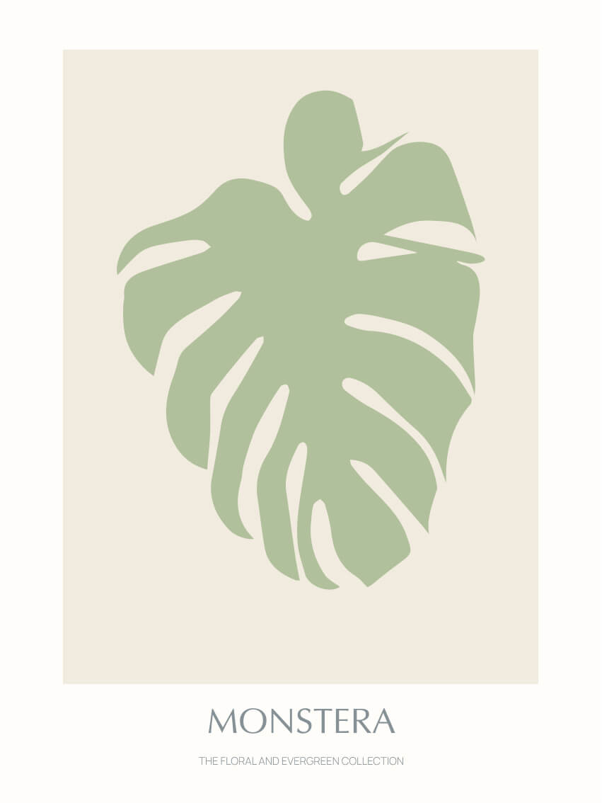 Floral-evergreen-monstera-02-green-30x40
