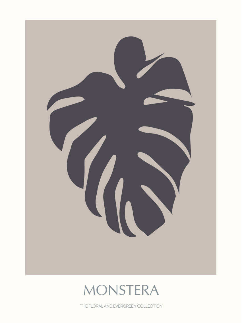 Floral-evergreen-monstera-02-sort-30x40