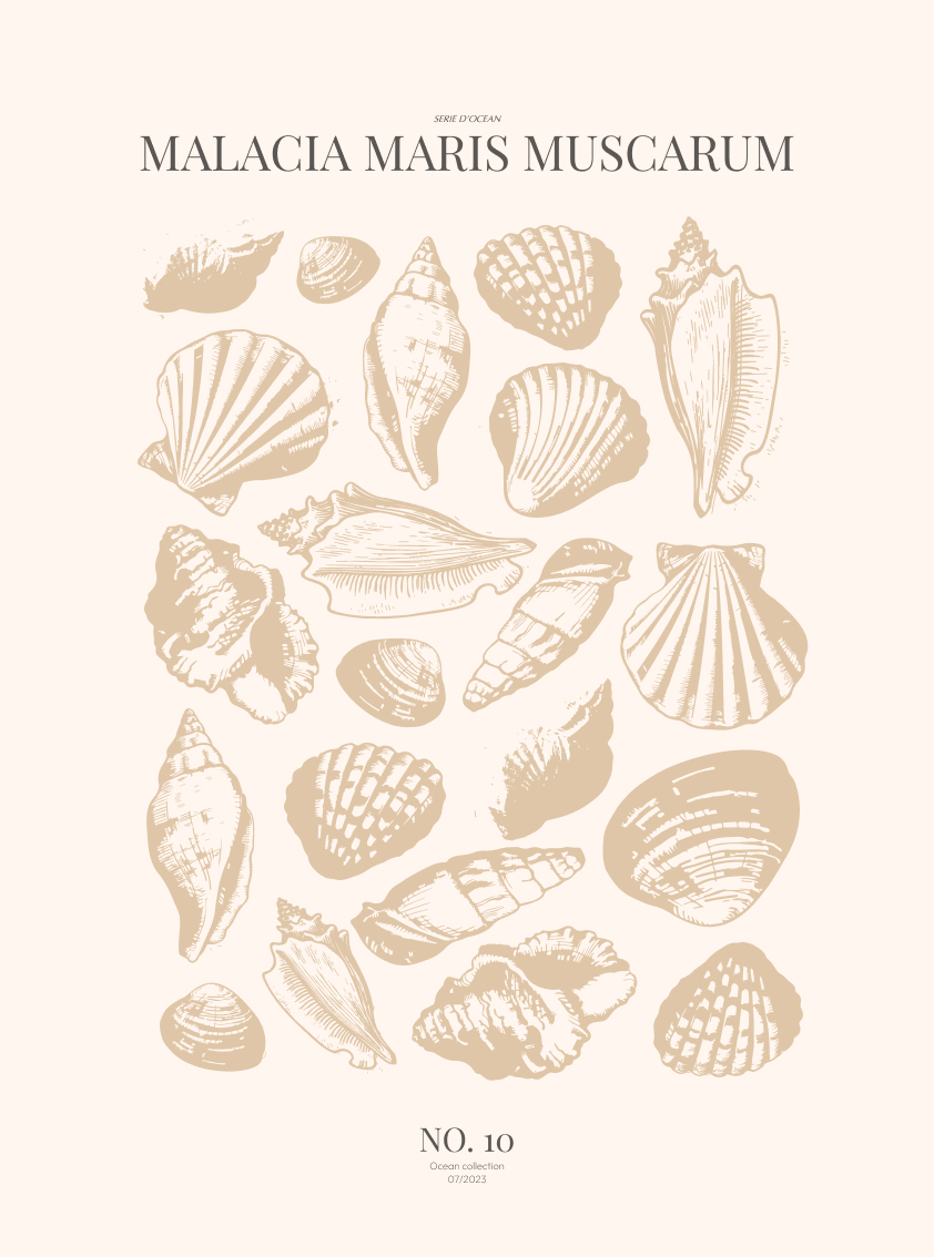 Sea-shells-10-beige-29,7x40