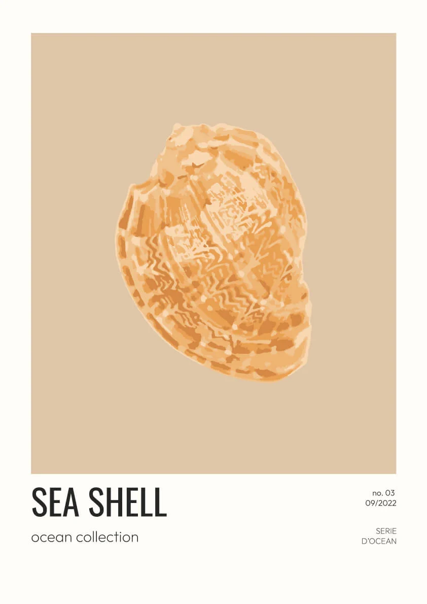 Sea-shell-03-beige-jpg.webp