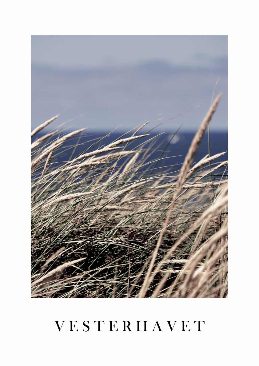 Vesterhavet-06.jpg